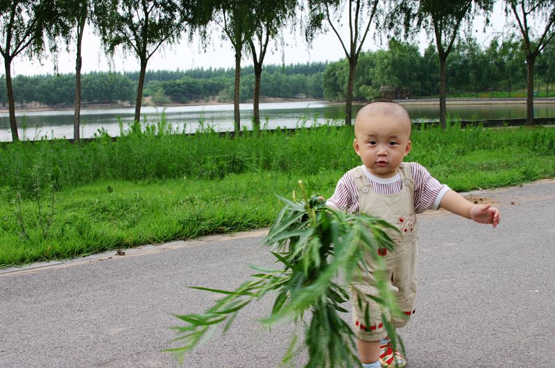 毛小毛