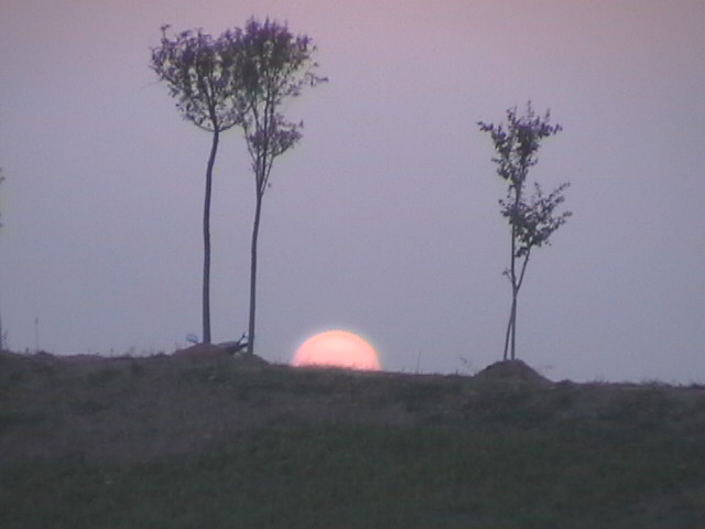 看夕阳