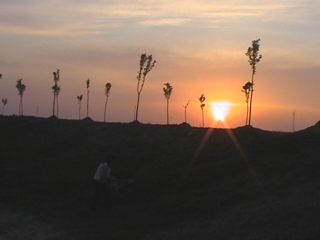 看夕阳