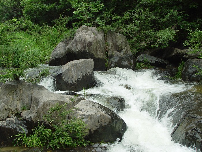 龙潭沟小景