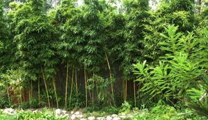 [微山湖采风活动]又一迟到的花絮{替豫影同行发图片}