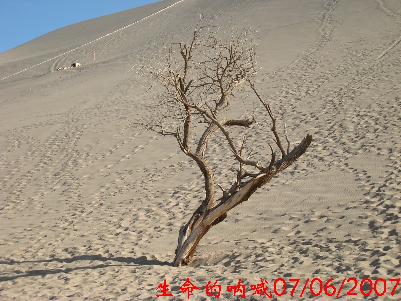 新疆,一个不得不去的地方