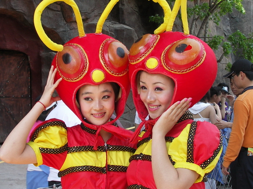 小蚂蚁