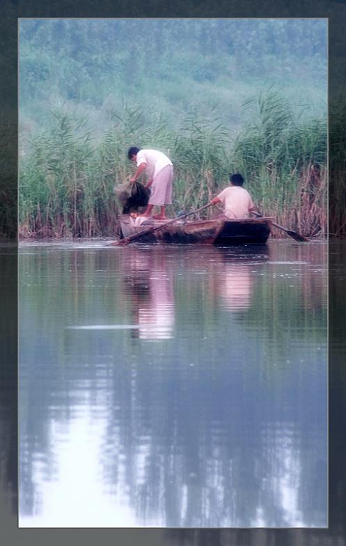 身边景色也喜人
