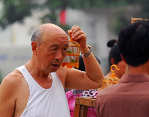 赶集记