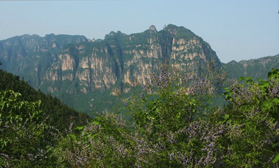 秋沟风光