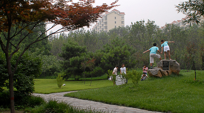 雨后掠影
