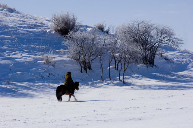 [原创]坝上冬景