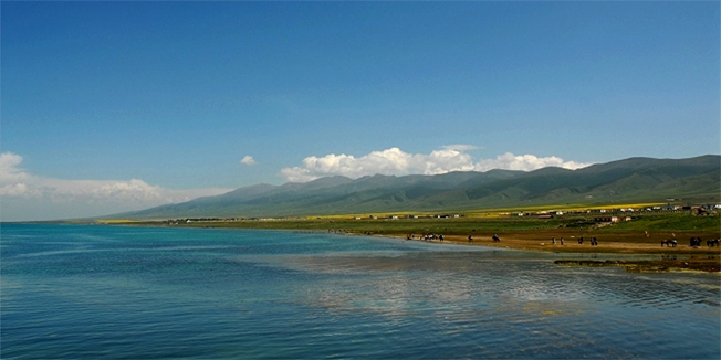 青海湖风光