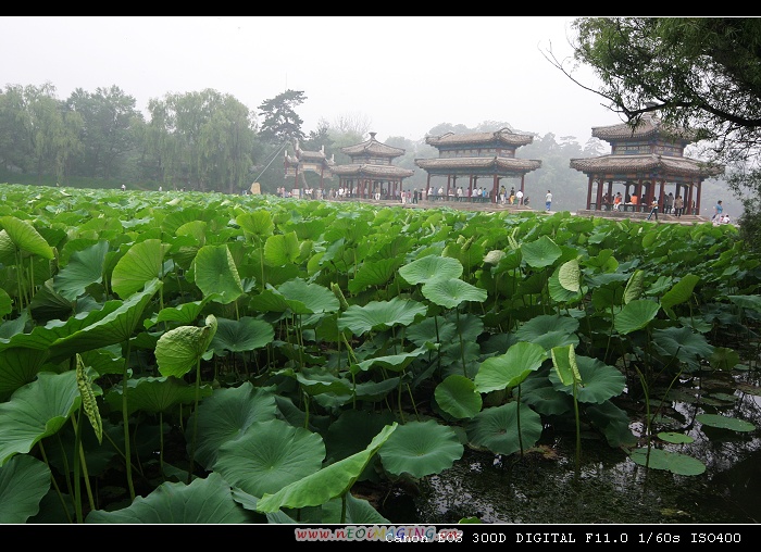 走近避暑山庄