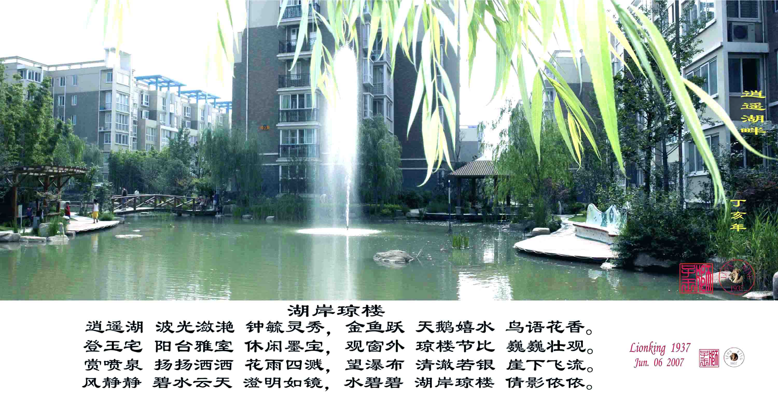 参赛获奖照片