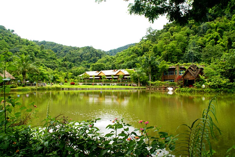 西双版纳风光---（旅游随拍）