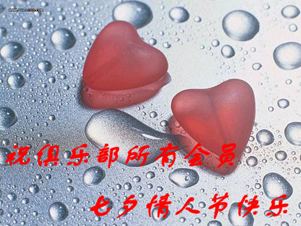 情人节的玫瑰