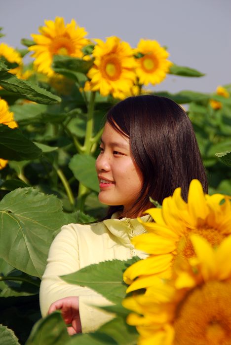 花开的季节