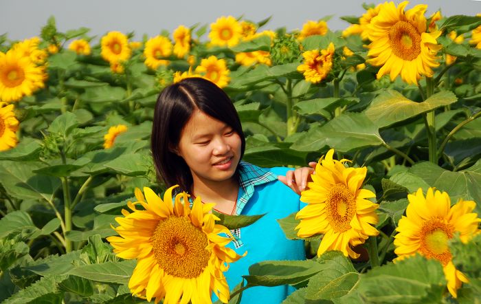 花开的季节