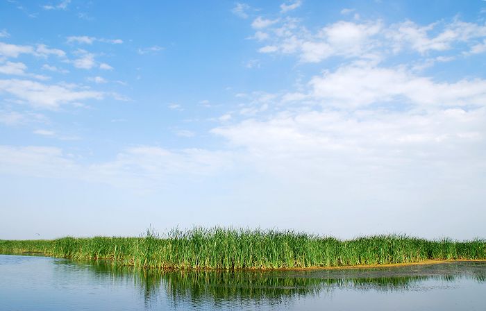 乌梁素海