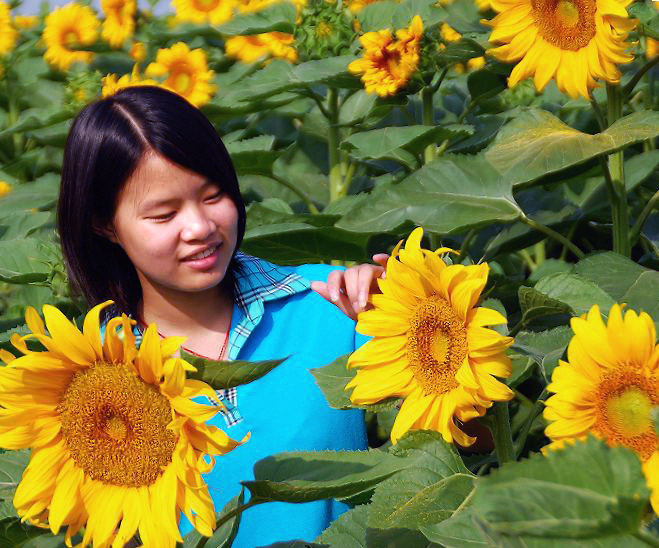 花开的季节