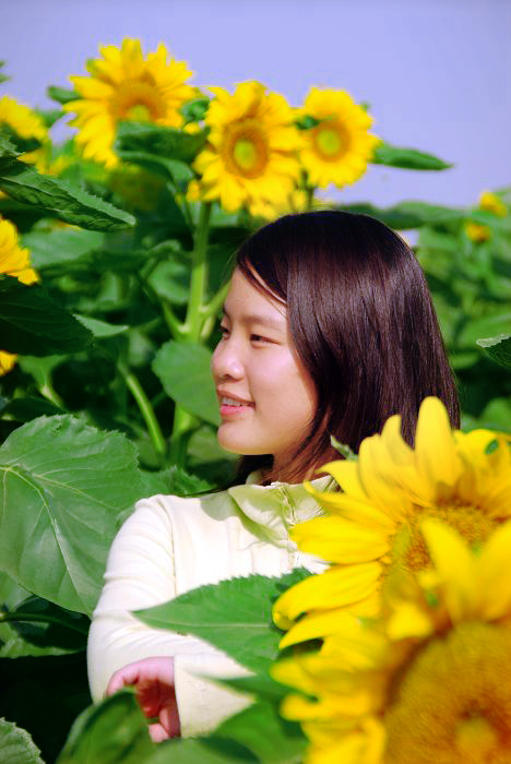 花开的季节