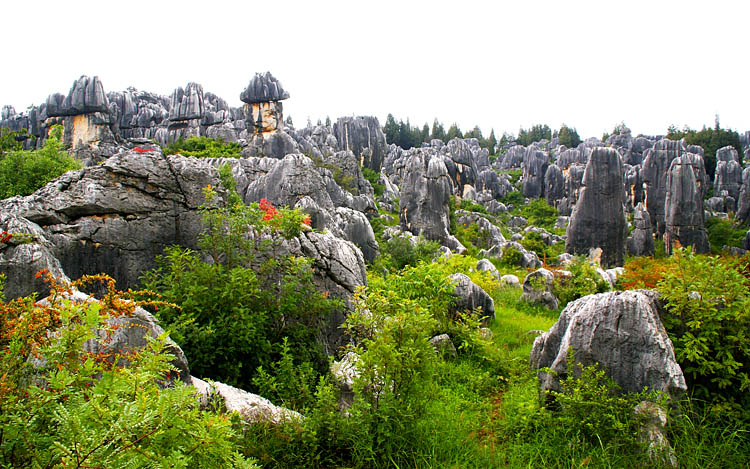 石林即景