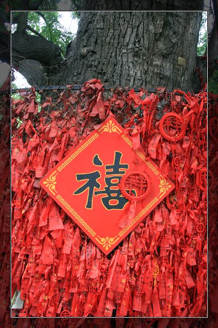 8月26日赴河北冉庄、白洋淀采风小片
