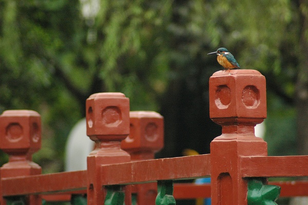 尼康70-300mmf/4~f/5.6D试贴