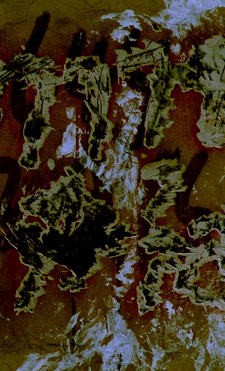 [原创] 色彩构成之------城市牛皮癣