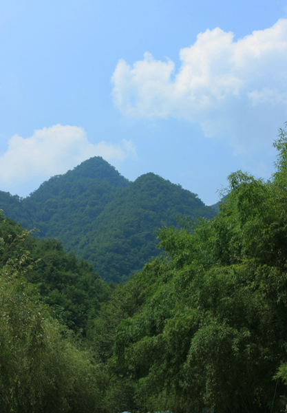 洛阳重渡沟------翠竹