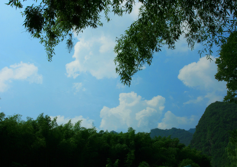 洛阳重渡沟------翠竹