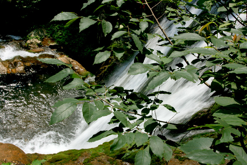 栾川重渡沟------秀水篇