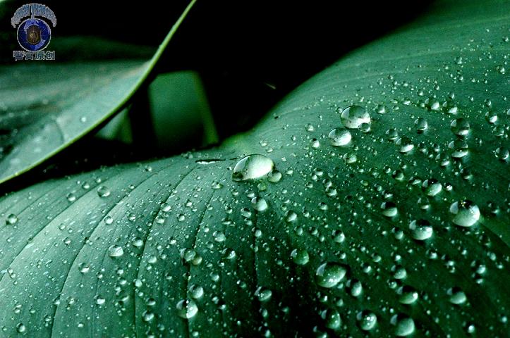水珠一组