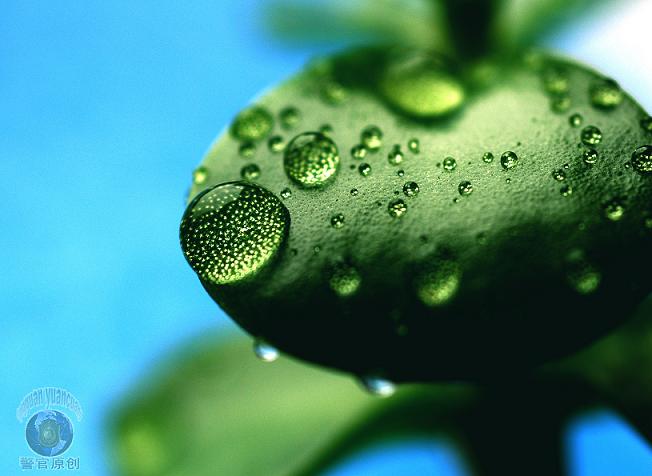水珠一组