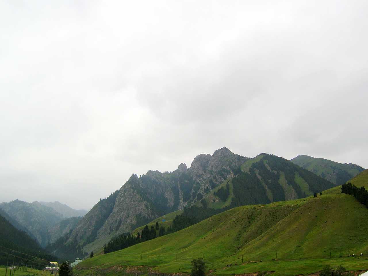 南山牧场