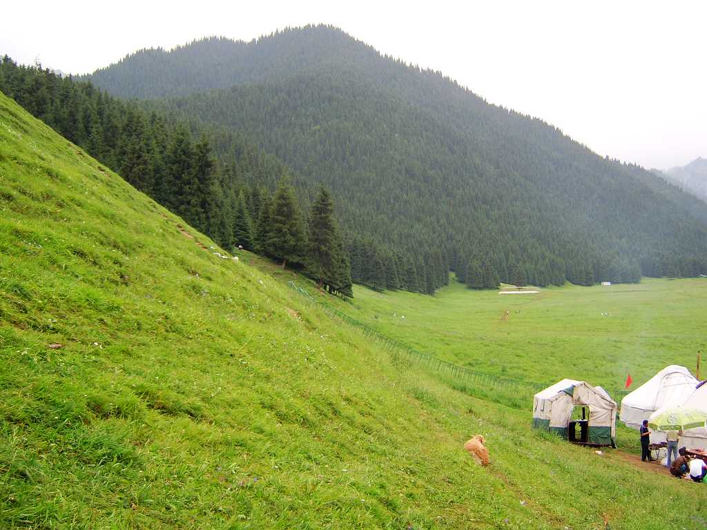 南山牧场
