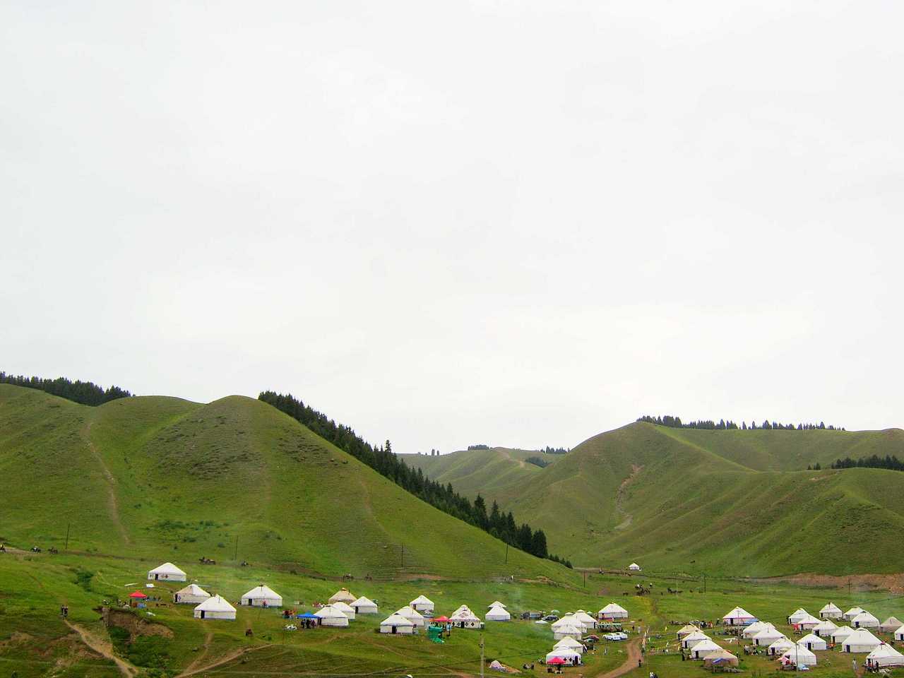 南山牧场