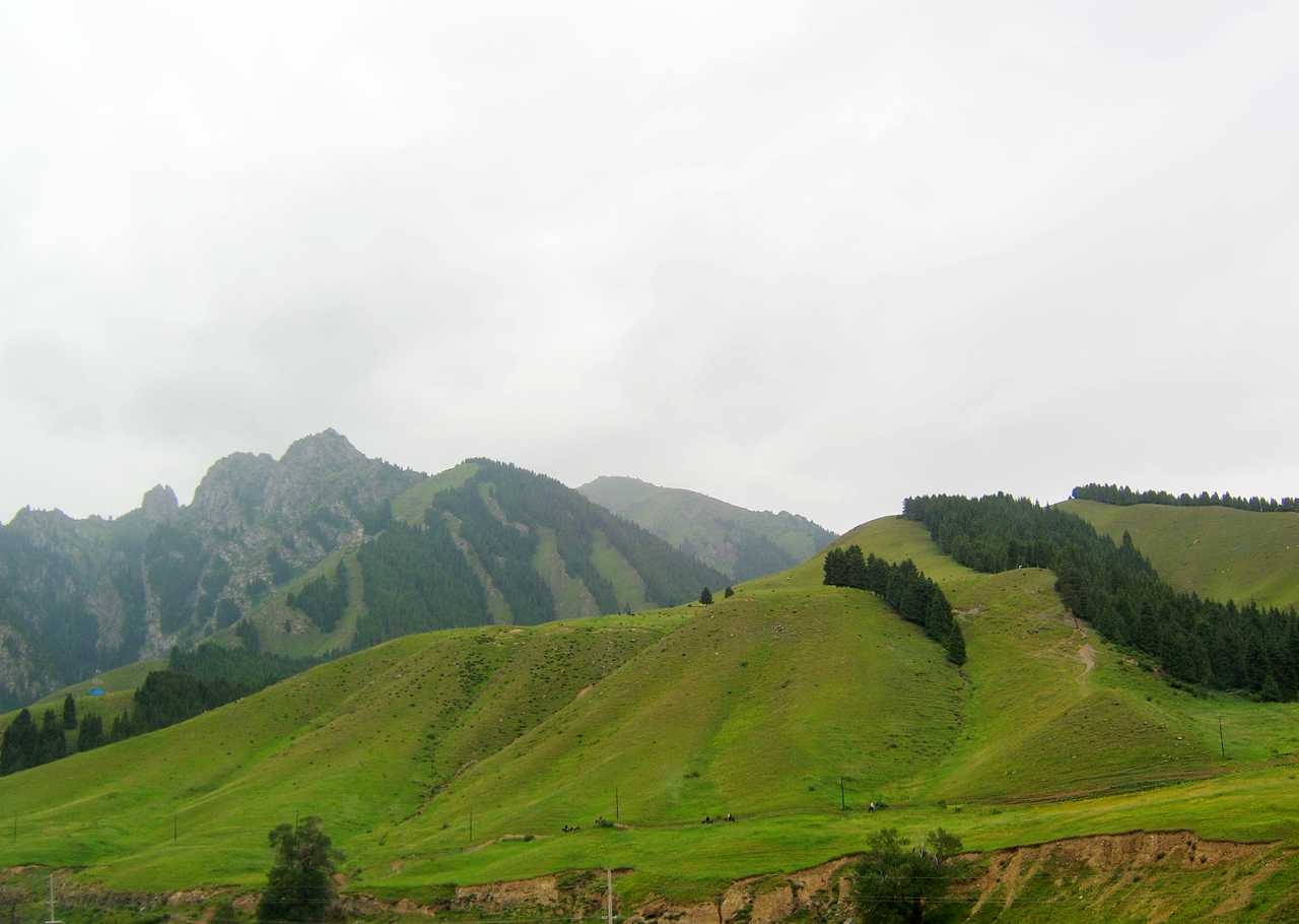 南山牧场