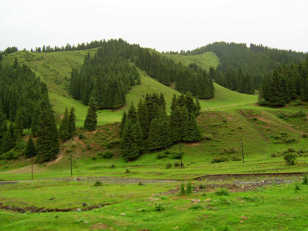 南山牧场
