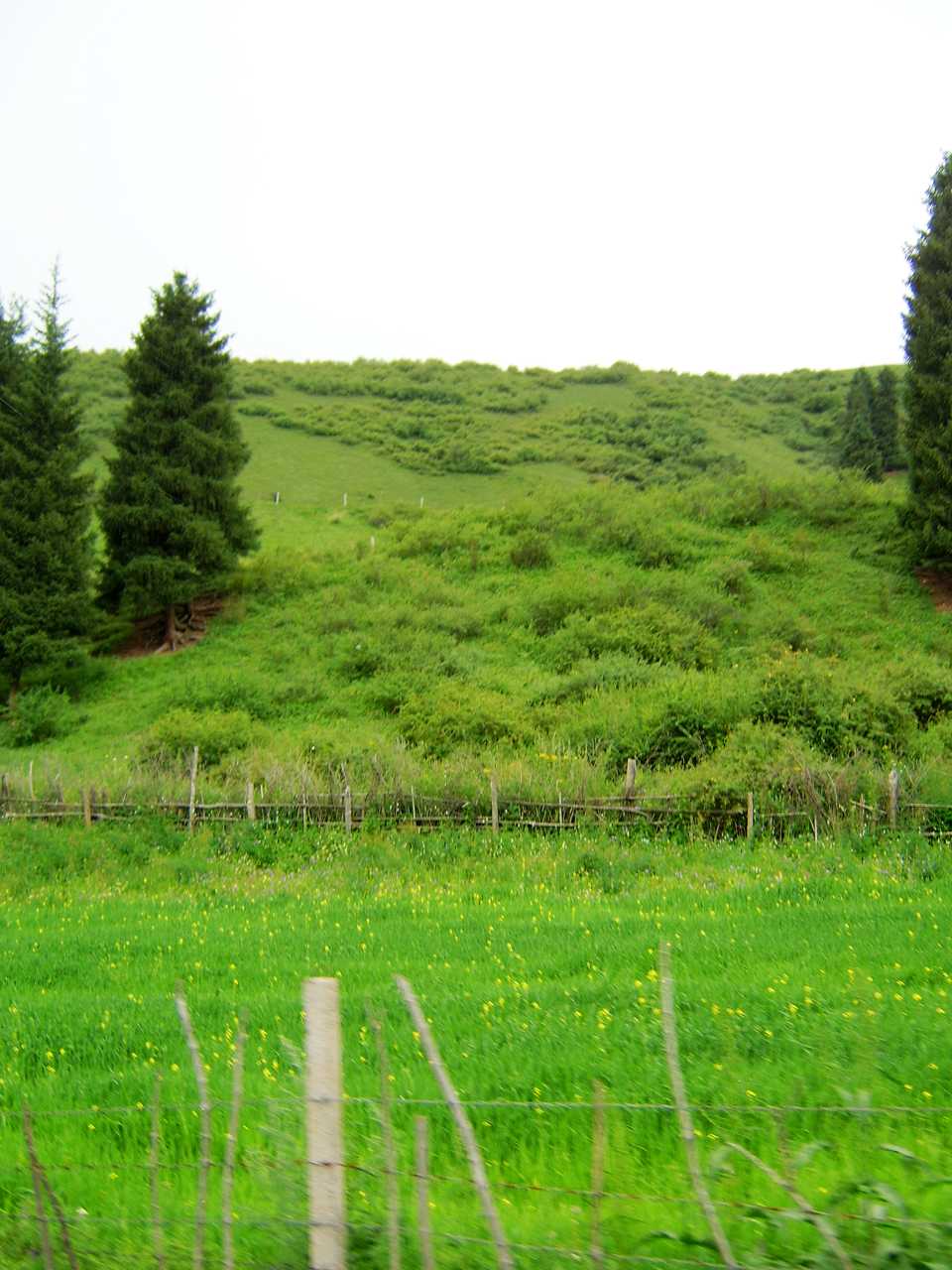 南山牧场