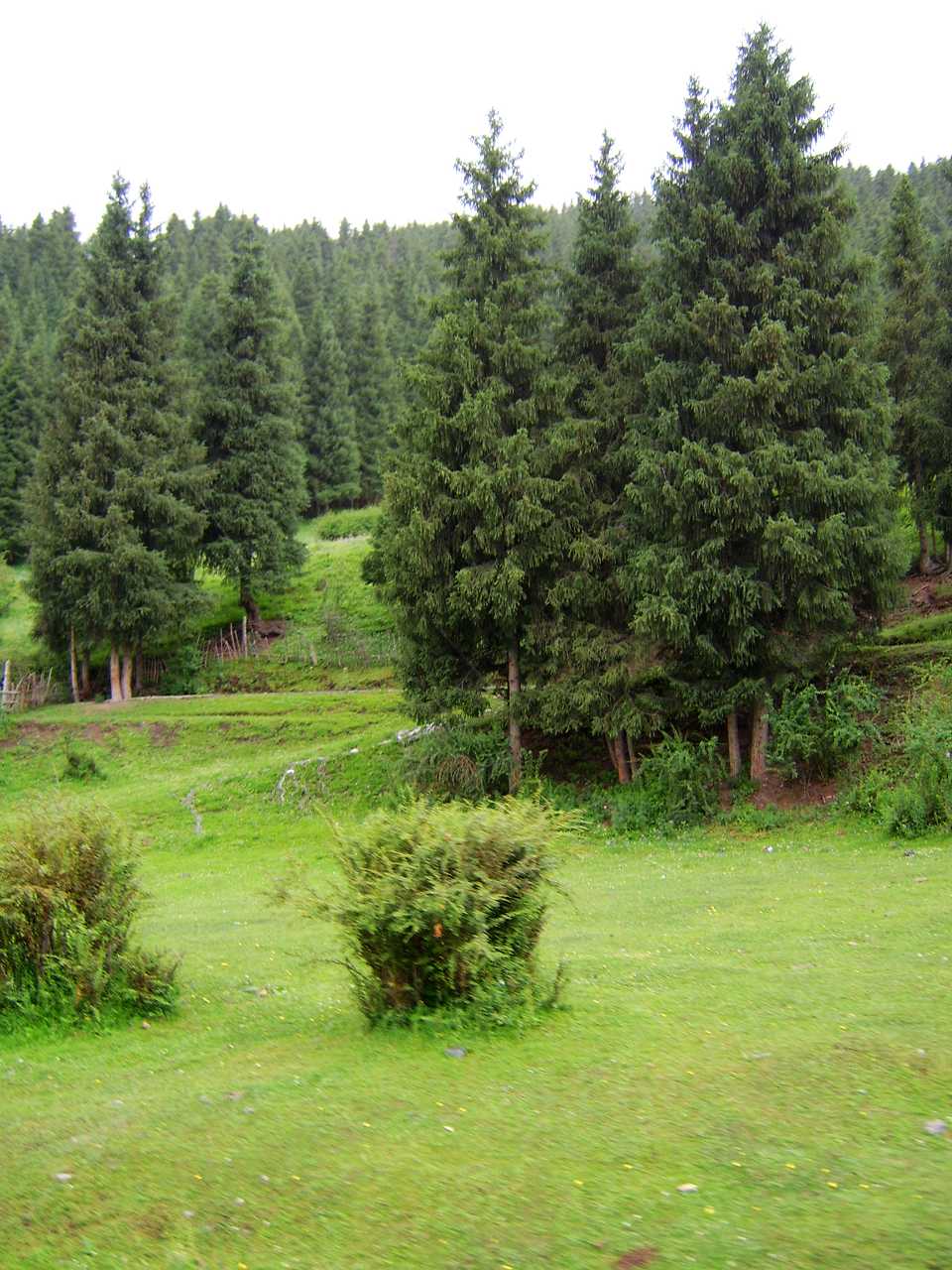 南山牧场