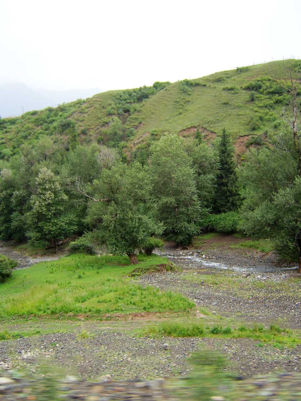南山牧场