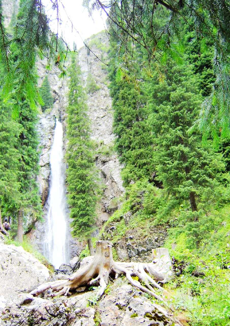 南山牧场