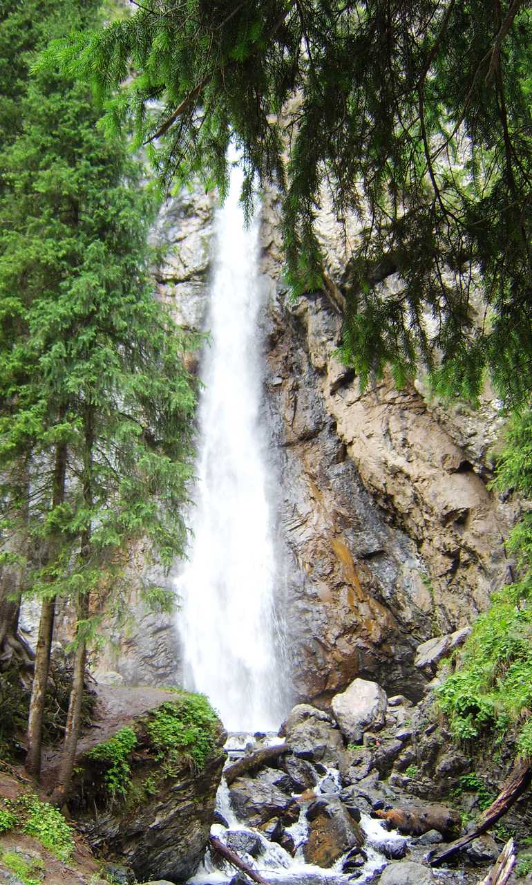 南山牧场