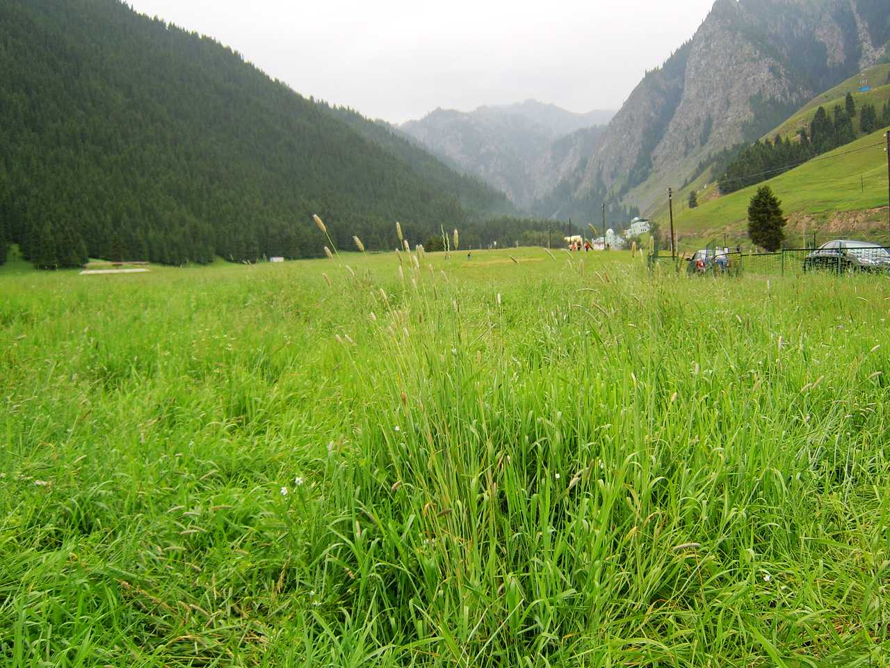 南山牧场