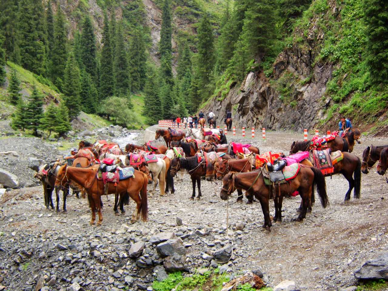 南山牧场