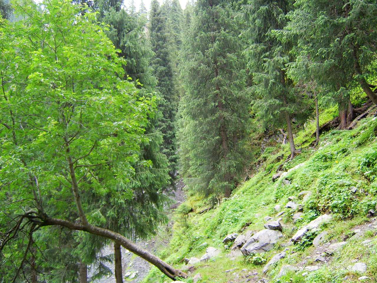 南山牧场