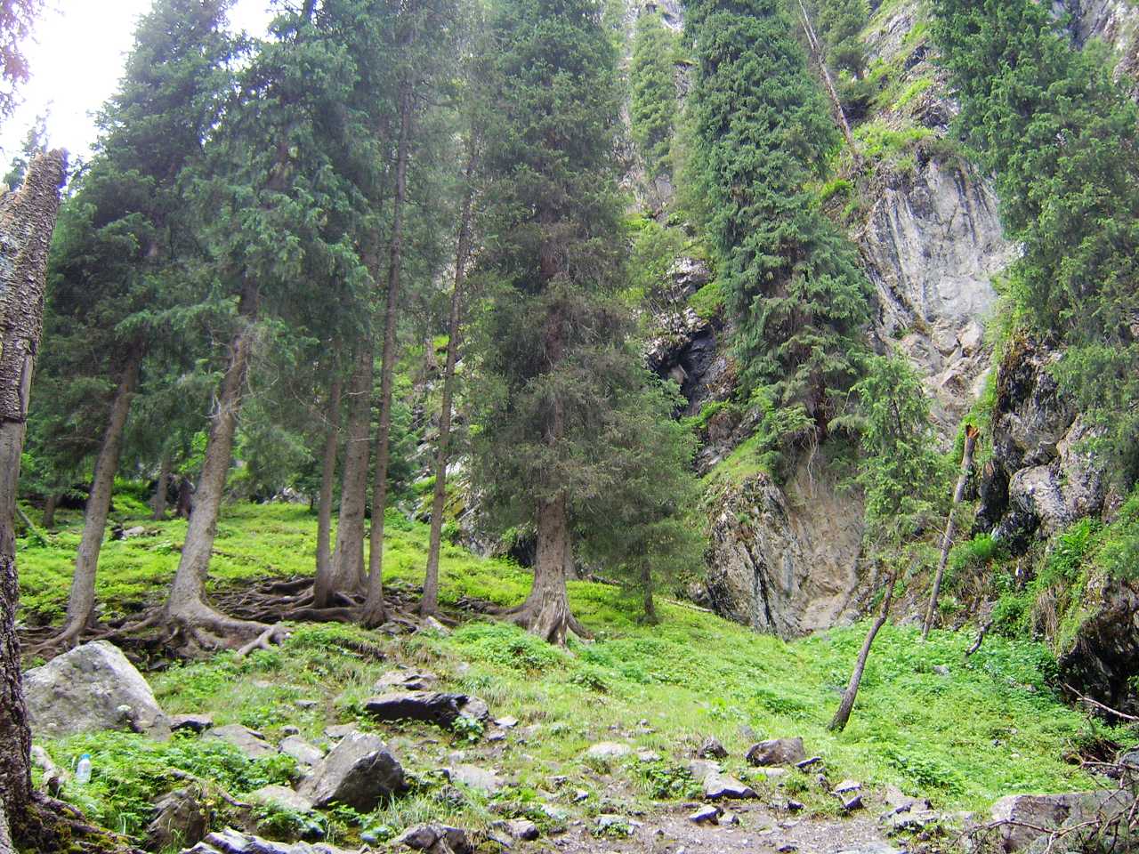 南山牧场