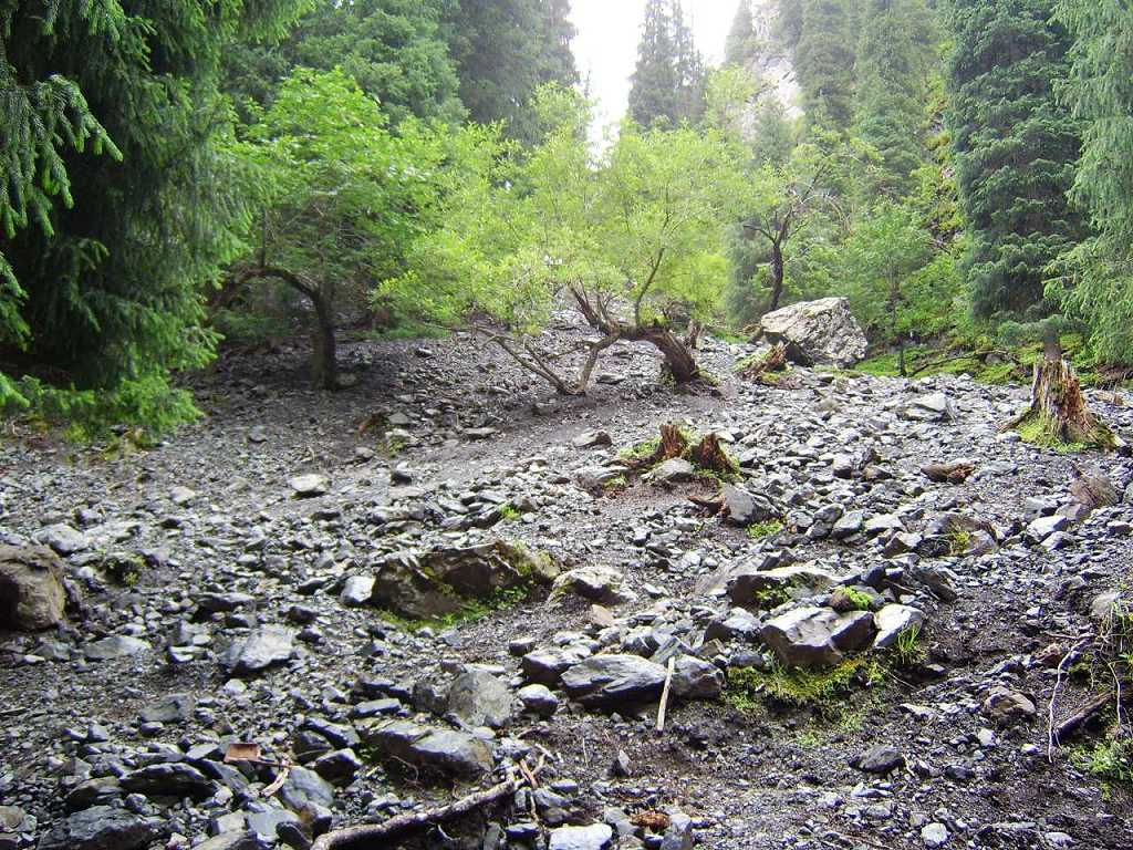 南山牧场