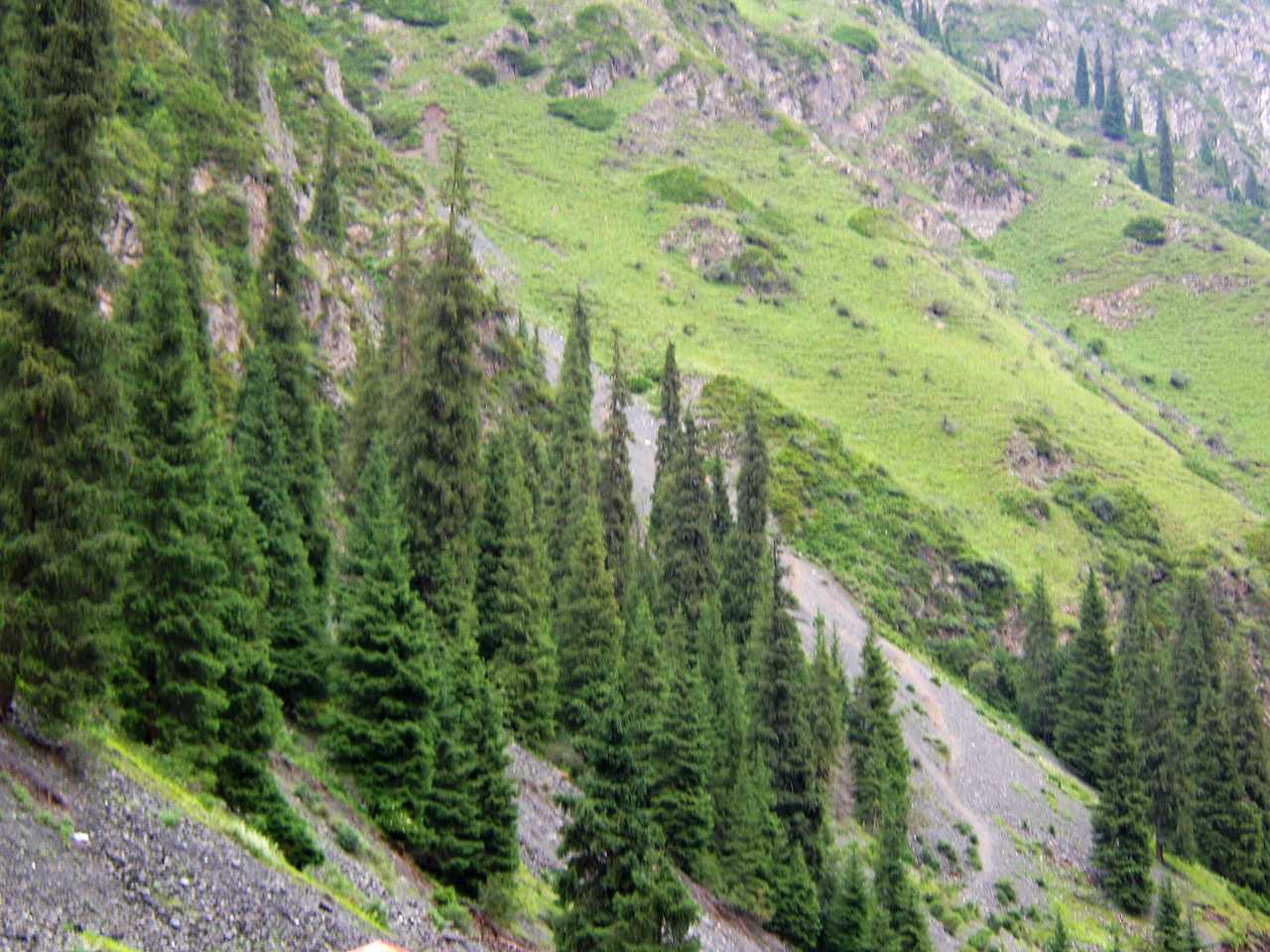 南山牧场