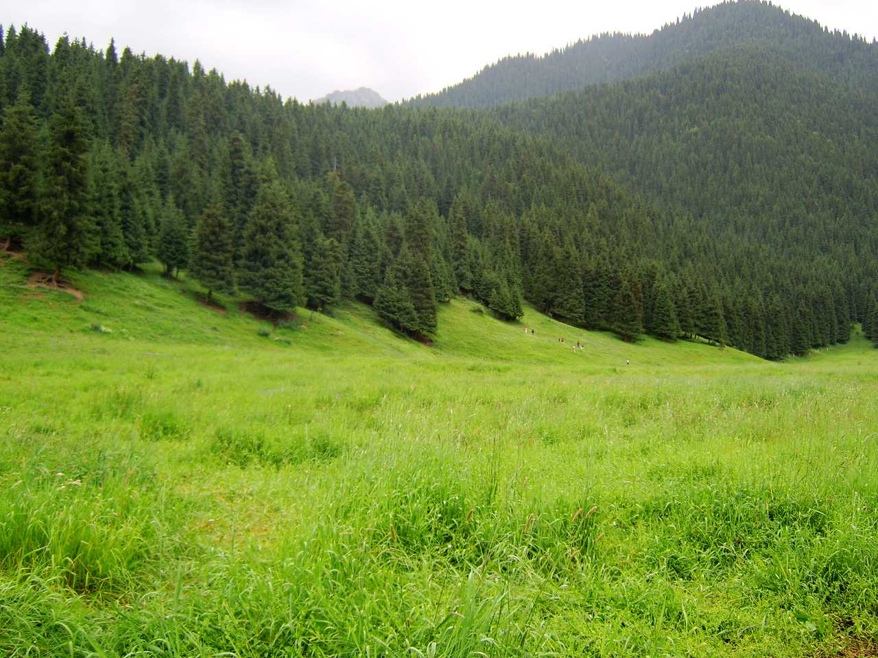 南山牧场