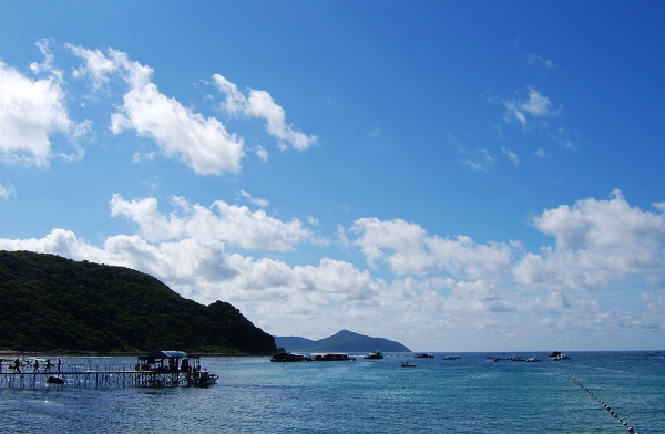 椰岛风情