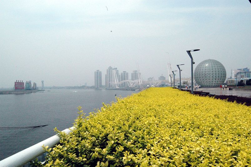 渤海湾一瞬